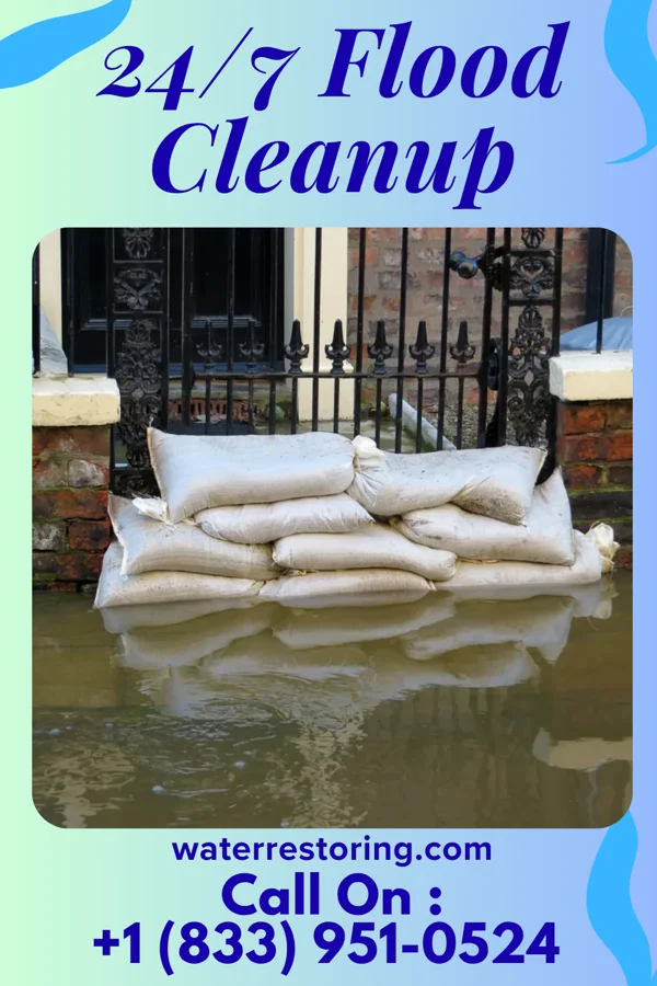 24/7 Flood Cleanup in Diaperville, WI