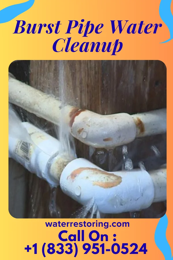 Burst Pipe Water Cleanup in Diaperville, WI