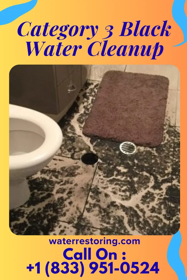 Category 3 Black Water Cleanup in Diaperville, WI