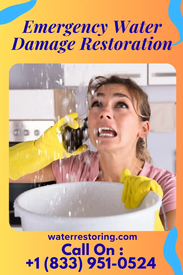 Emergency Water Damage Restoration in Diaperville, WI