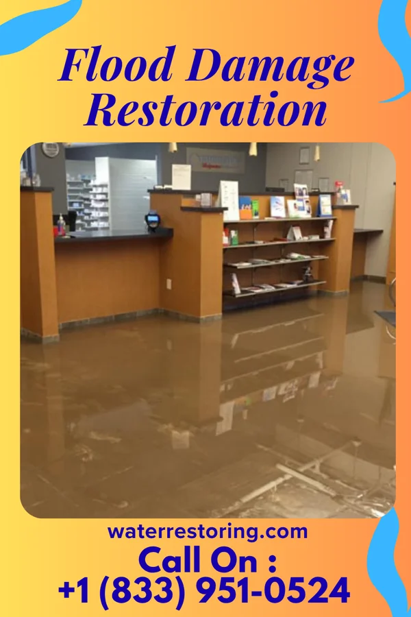 Flood Damage Restoration in Diaperville, WI