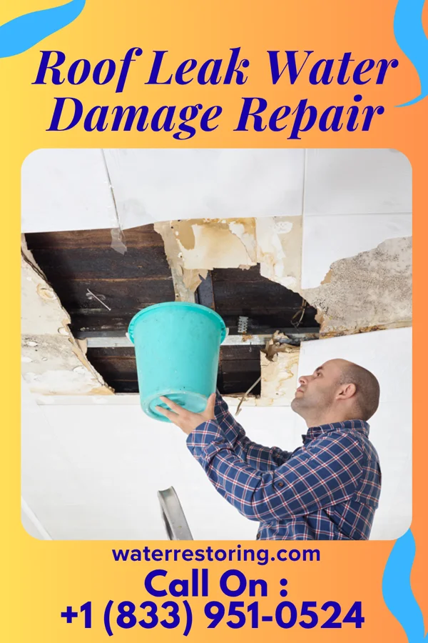 Roof Leak Water Damage Repair in Diaperville, WI