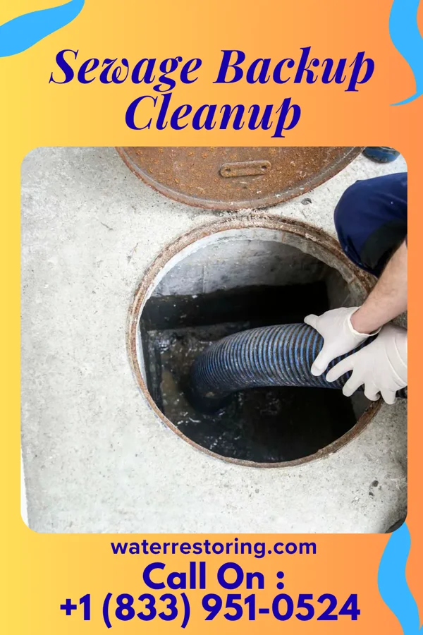 Sewage Backup Cleanup in Diaperville, WI