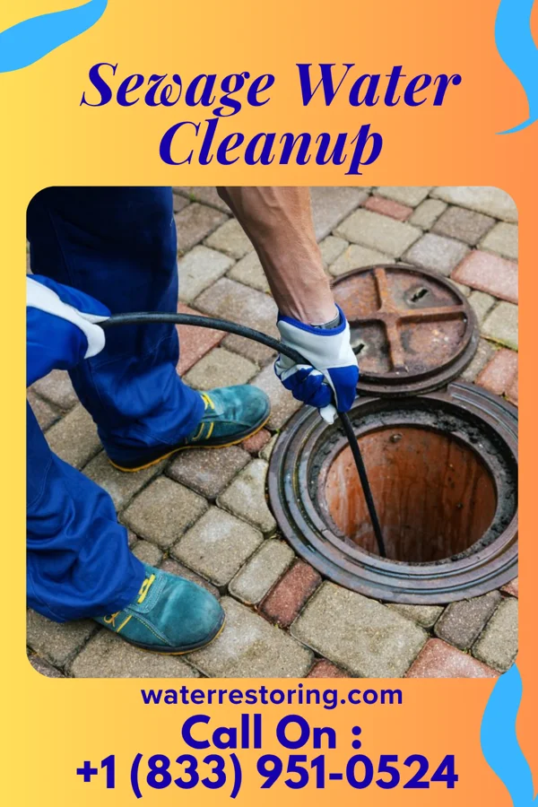 Sewage Water Cleanup in Diaperville, WI