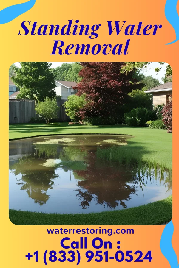 Standing Water Removal in Diaperville, WI